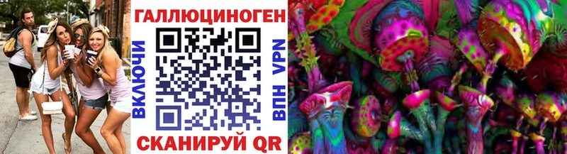 Псилоцибиновые грибы Psilocybine cubensis  Купить  Лермонтов 